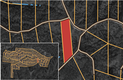 Big White Oak Tract 50