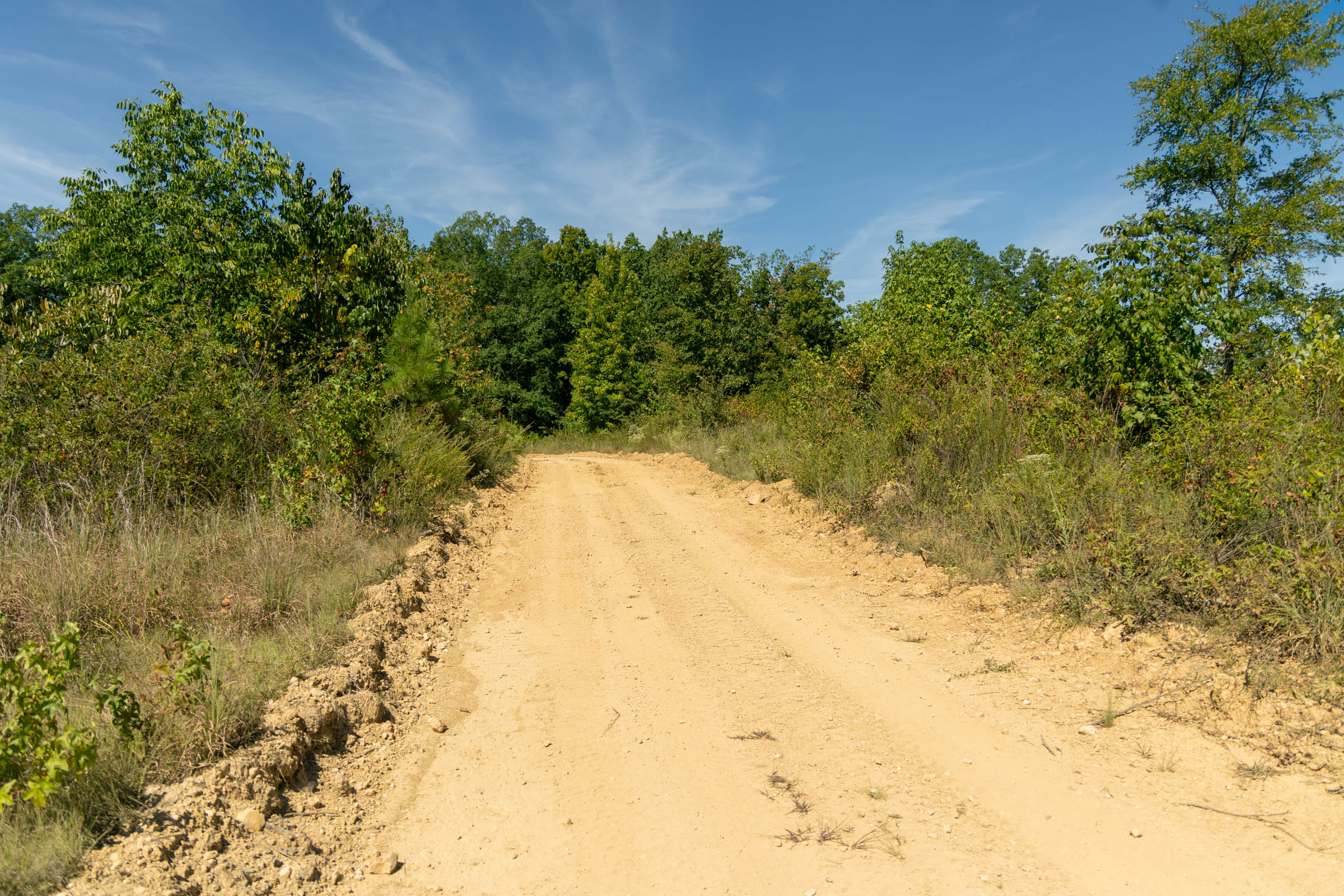 Tract 52 at Big White Oak in Perry County, Tennessee