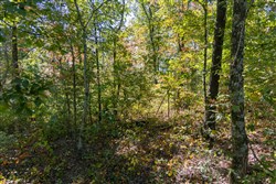 property photo for Big White Oak Tract 52, 14.77 acres for sale in Perry County, Tennessee