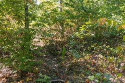 property photo for Big White Oak Tract 52, 14.77 acres for sale in Perry County, Tennessee