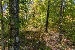 property photo for Big White Oak Tract 52, 14.77 acres for sale in Perry County, Tennessee