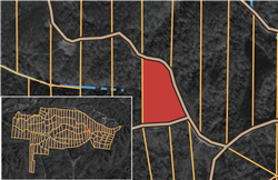 Big White Oak Tract 53