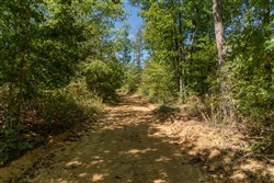 Big White Oak Tract 54