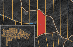 Big White Oak Tract 54