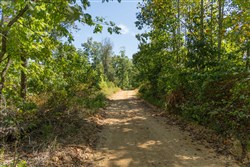 Big White Oak Tract 55