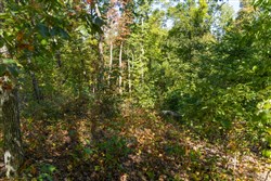 Big White Oak Tract 55