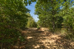 Big White Oak Tract 55