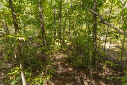 Big White Oak Tract 57