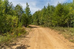 Big White Oak Tract 57