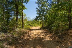 Big White Oak Tract 58