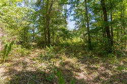Big White Oak Tract 58