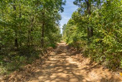 Big White Oak Tract 58