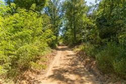 Big White Oak Tract 59