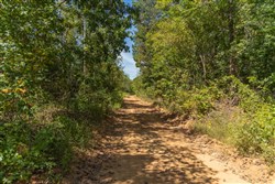 Big White Oak Tract 59