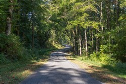 property photo for Big White Oak Tract 6, 8.37 acres for sale in Perry County, Tennessee