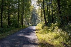 property photo for Big White Oak Tract 6, 8.37 acres for sale in Perry County, Tennessee
