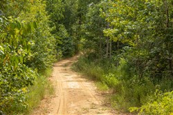 property photo for Big White Oak Tract 6, 8.37 acres for sale in Perry County, Tennessee