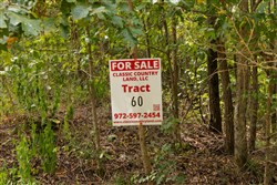 Big White Oak Tract 60