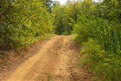 Big White Oak Tract 60