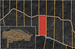 Big White Oak Tract 60