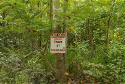 Big White Oak Tract 61