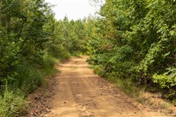 Big White Oak Tract 61