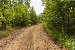 Big White Oak Tract 62