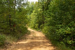 Big White Oak Tract 62