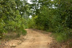 Big White Oak Tract 64