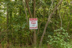 Big White Oak Tract 65