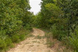 Big White Oak Tract 65