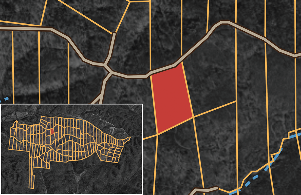 Big White Oak Tract 65 - Primary