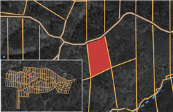 Big White Oak Tract 65