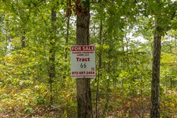 Big White Oak Tract 66