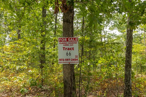 Big White Oak Tract 66