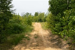 Big White Oak Tract 66