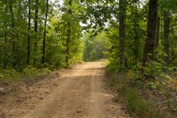 Big White Oak Tract 67
