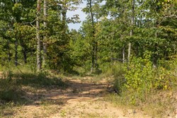 Big White Oak Tract 67