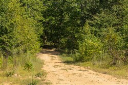 Big White Oak Tract 67