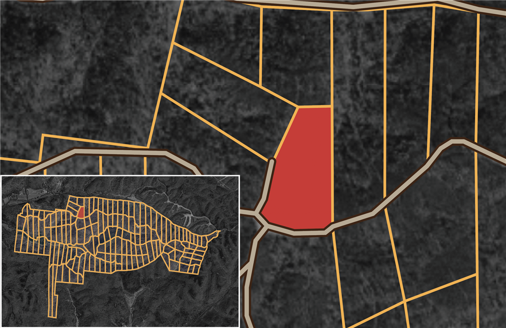 Big White Oak Tract 67 - Primary