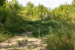 property photo for Big White Oak Tract 68, 9.08 acres for sale in Perry County, Tennessee