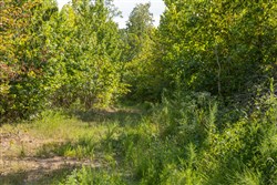 property photo for Big White Oak Tract 68, 9.08 acres for sale in Perry County, Tennessee