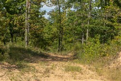Big White Oak Tract 69