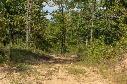 Big White Oak Tract 69