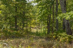 Big White Oak Tract 69