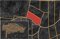 Big White Oak Tract 69