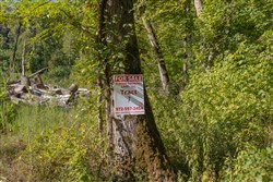 Big White Oak Tract 7