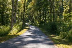 Big White Oak Tract 7