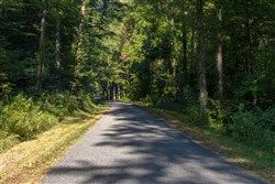 Big White Oak Tract 7