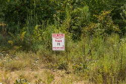 Big White Oak Tract 70